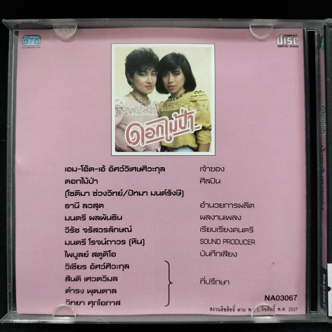 ดอกไม้ป่า - น้ำตาในสายฝน / แผ่นดี