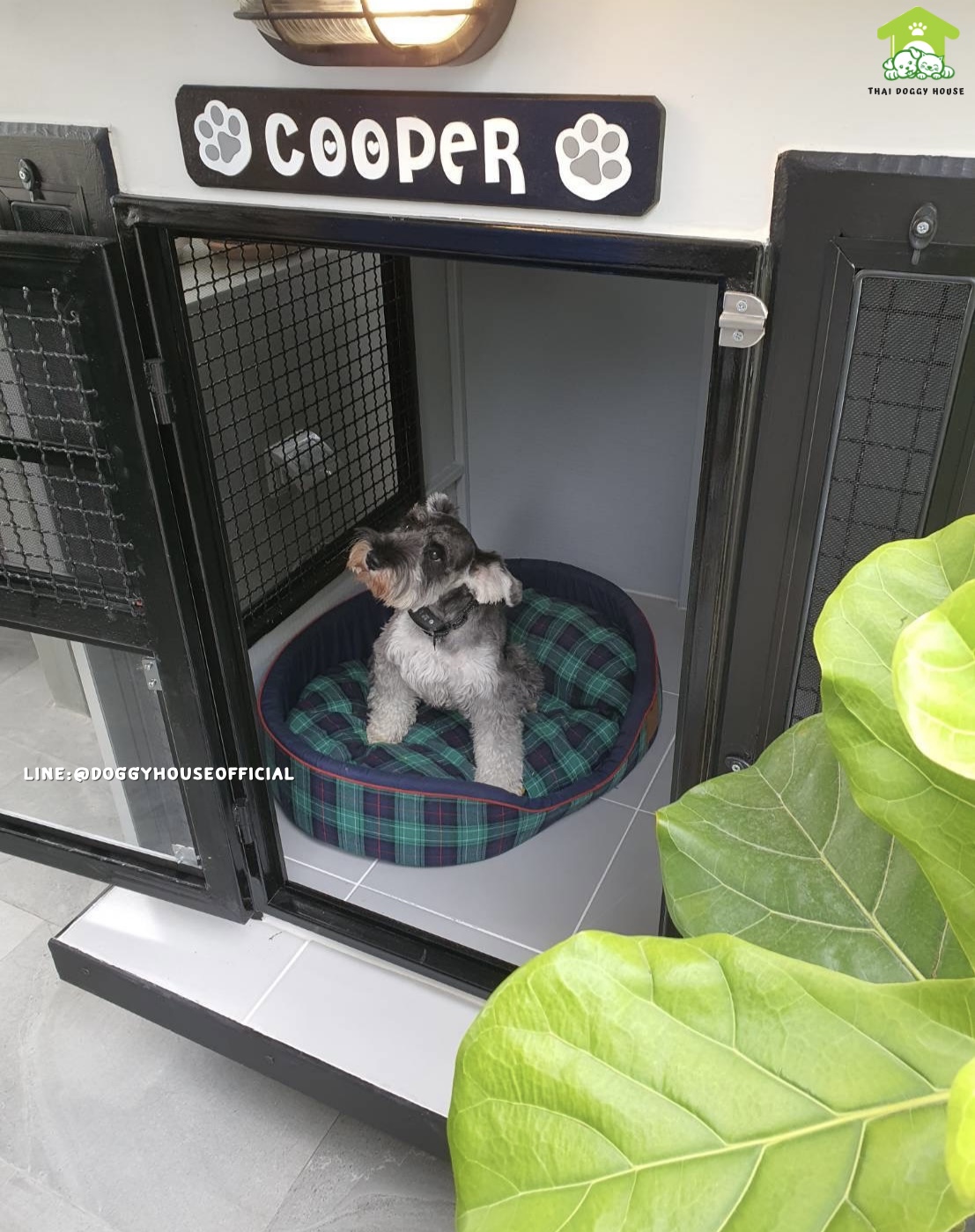 บ้านหมา แบบบ้าน 𝐁𝐎𝐗 𝐒𝐓𝐘𝐋𝐄