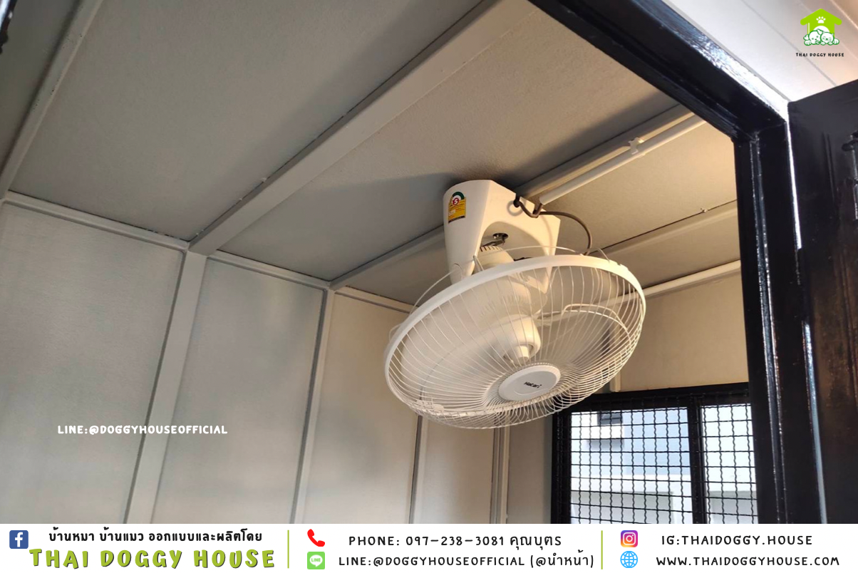 บ้านหมา แบบบ้าน 𝐁𝐎𝐗 𝐒𝐓𝐘𝐋𝐄