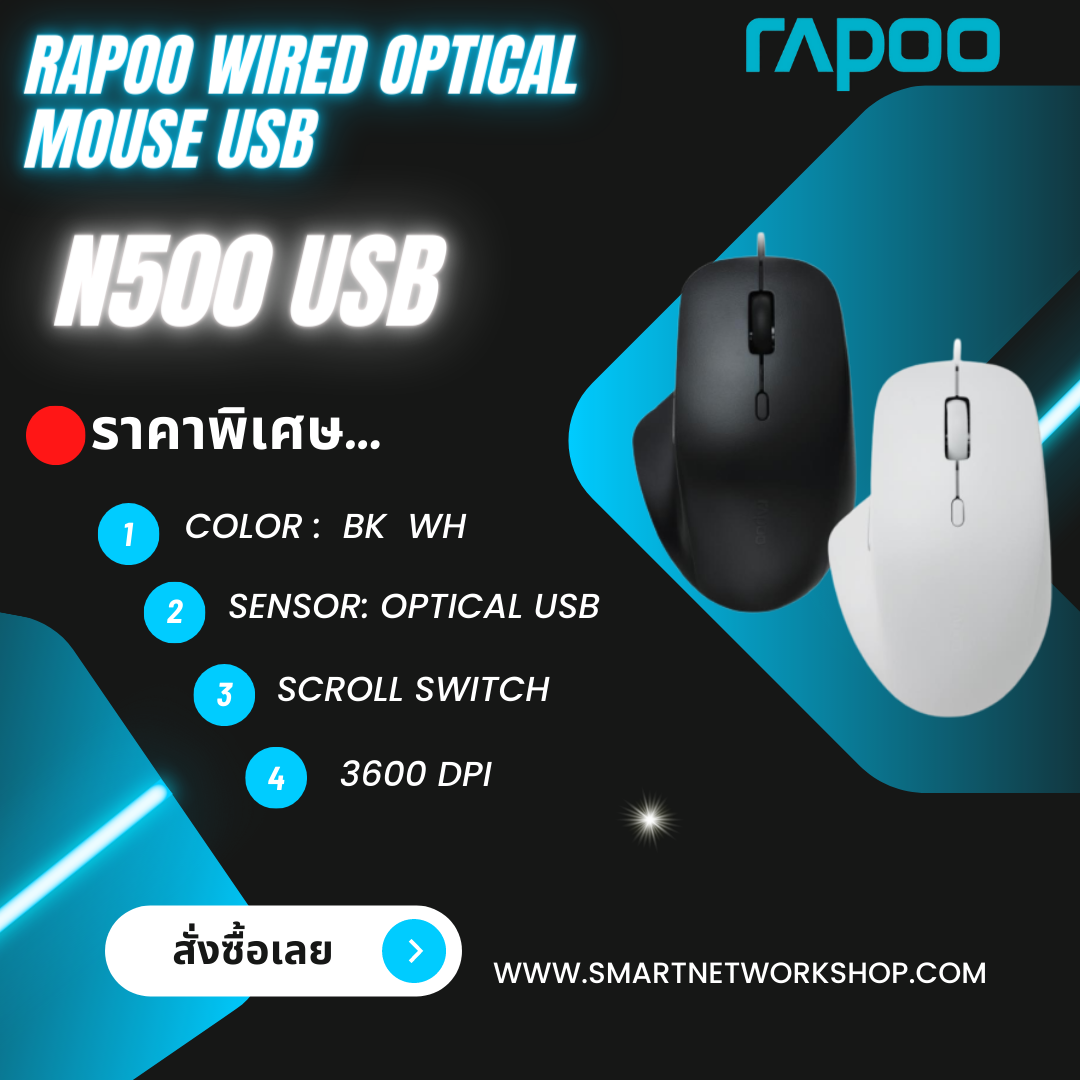 Rapoo N500 Wired Optical Mouse USB