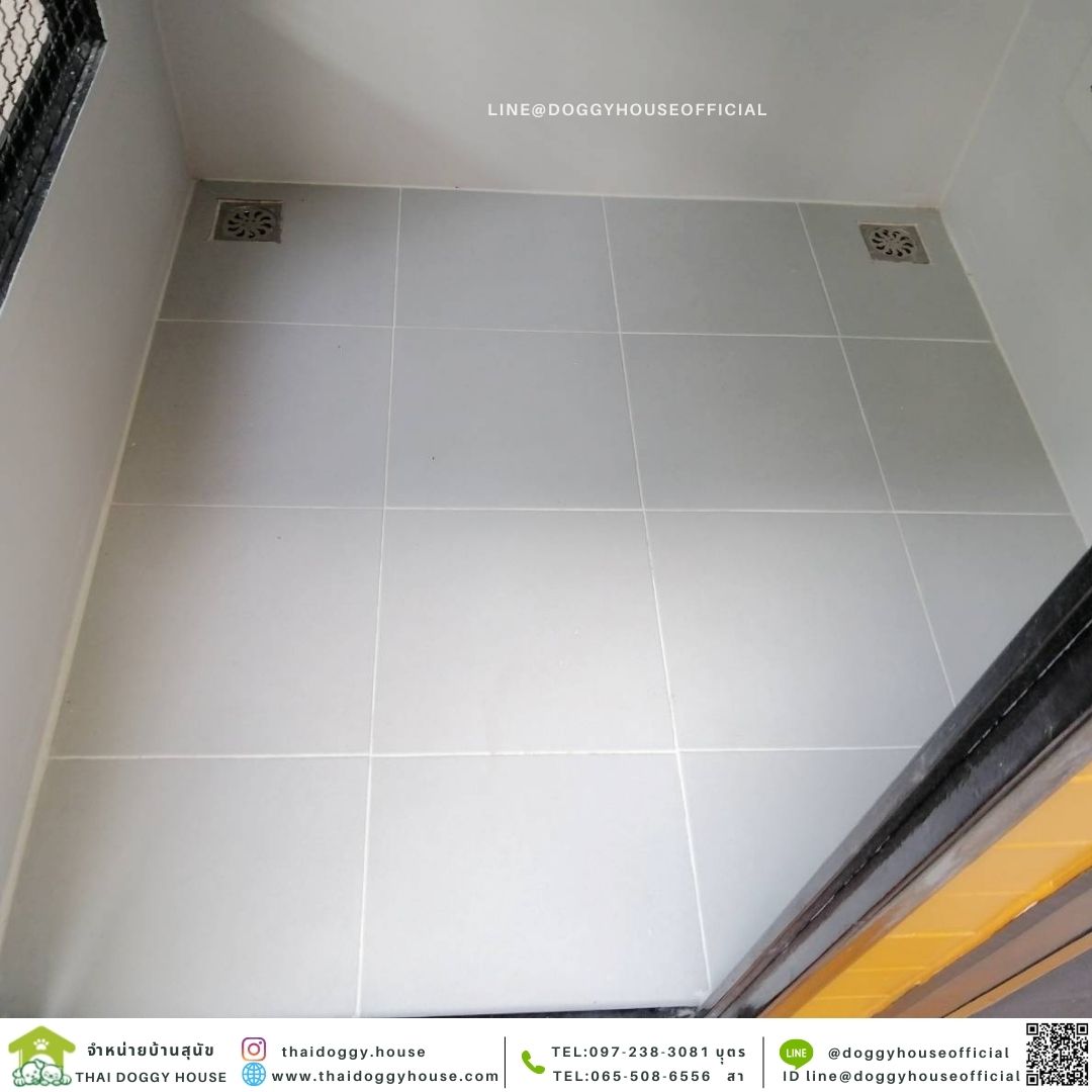 บ้านหมา