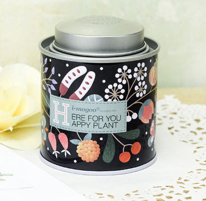 กระป๋องเหล็ก,กล่องเหล็ก