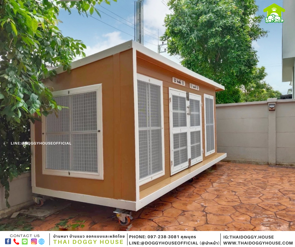 บ้านหมา หลังใหญ่ Box Style