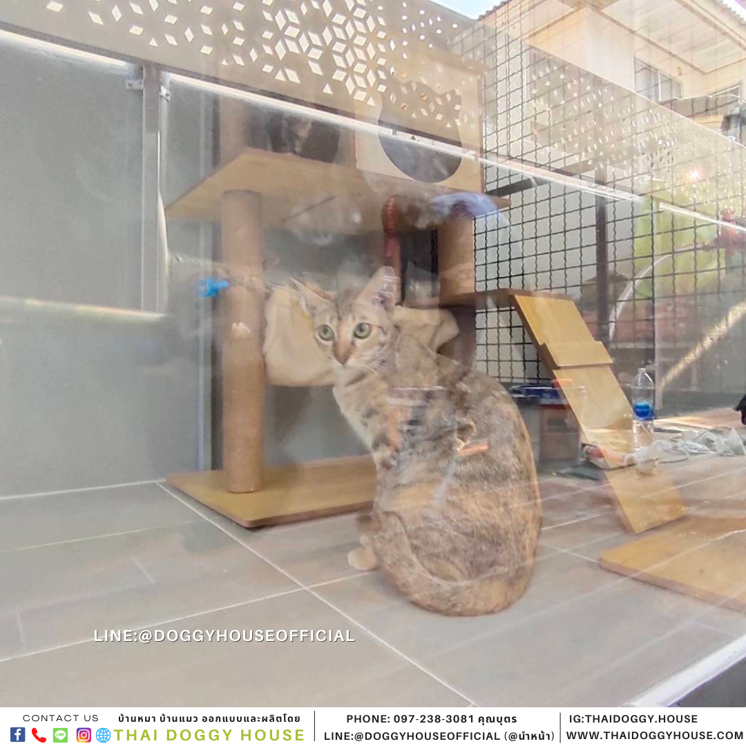 บัานแมว รุ่นนิยม BOX STYLE