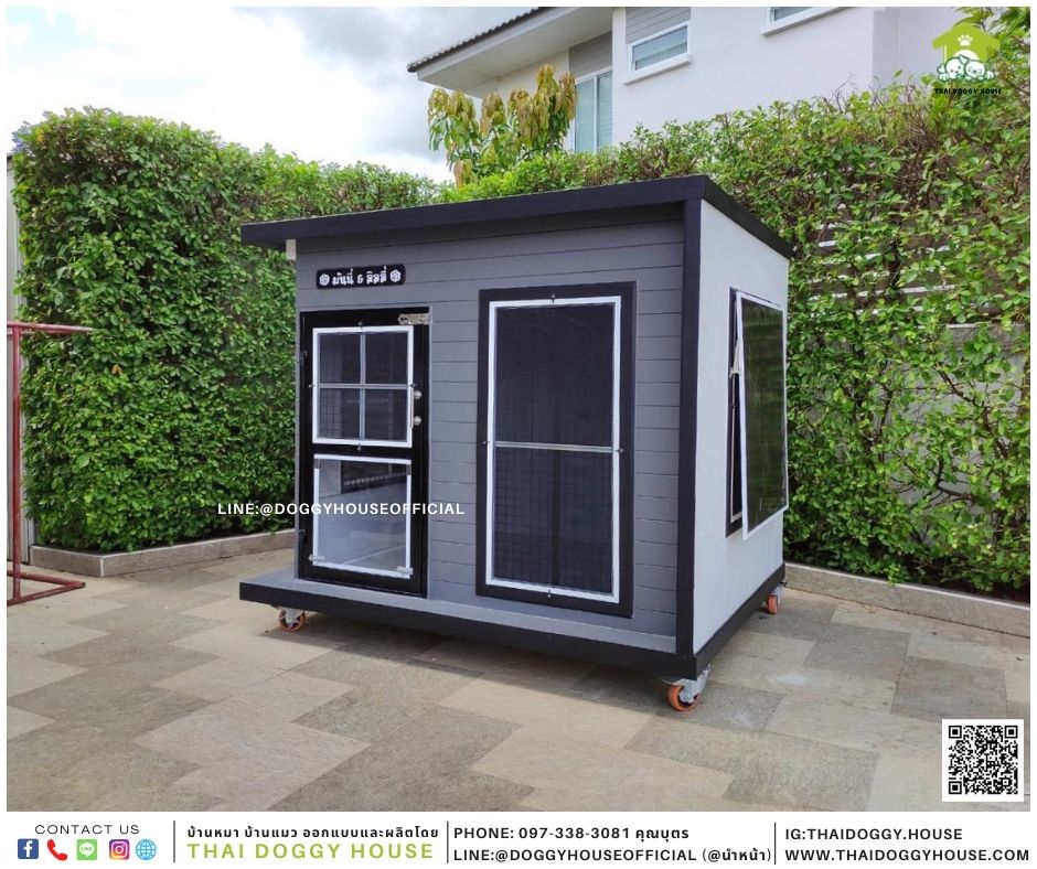 บ้านหมา Box style