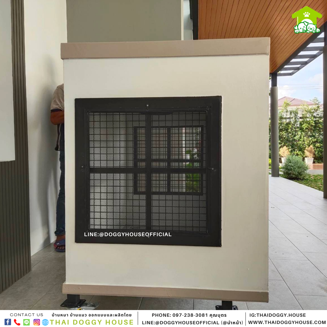 บ้านหมา Box style