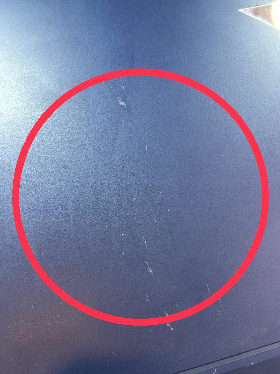 HP VICTUS 16-D1213TX (PERFOMANCE BLUE)