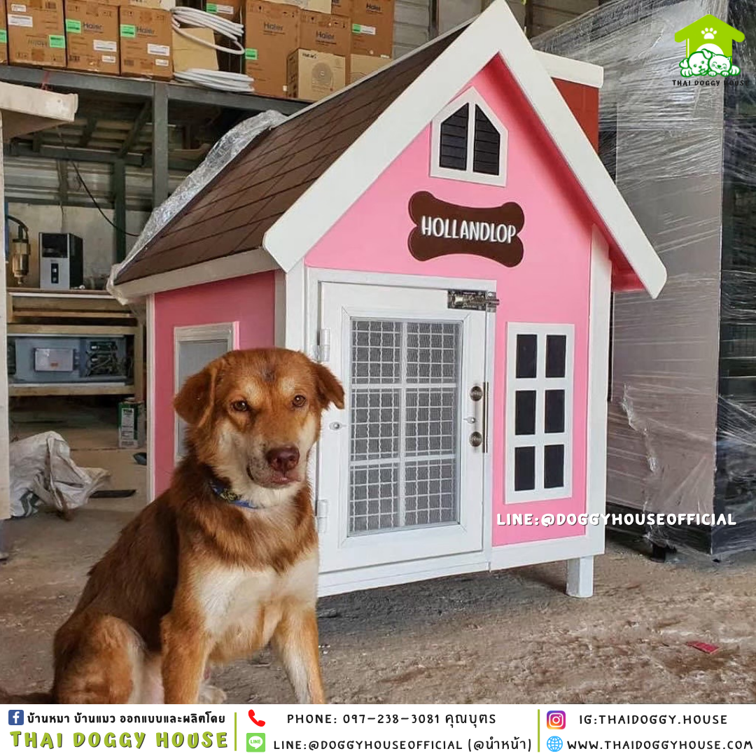 บ้านหมา รุ่นจิ๋ว