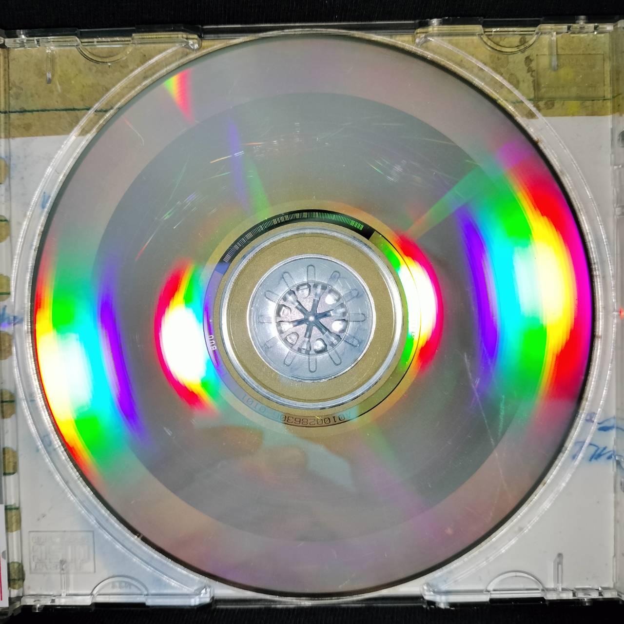 Los Lobos – This Time / ไม่ระบุ / แผ่นเป็นรอย