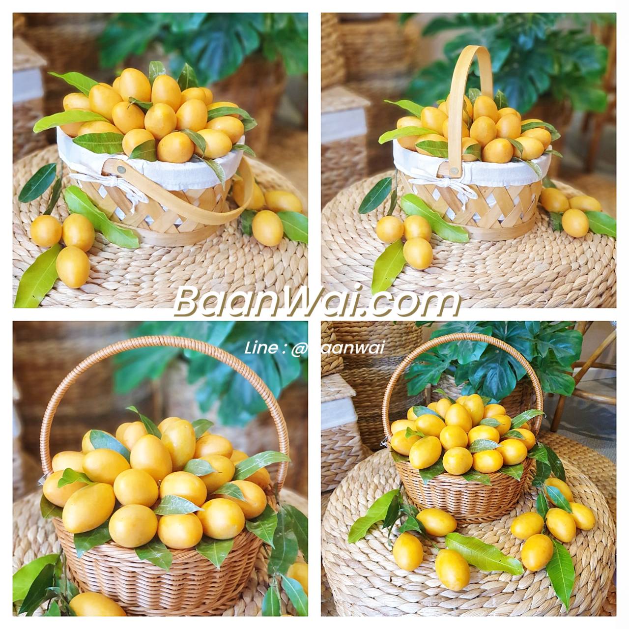 ตะกร้าไม้สาน บุผ้า ทรงรี มี 2 ขนาด