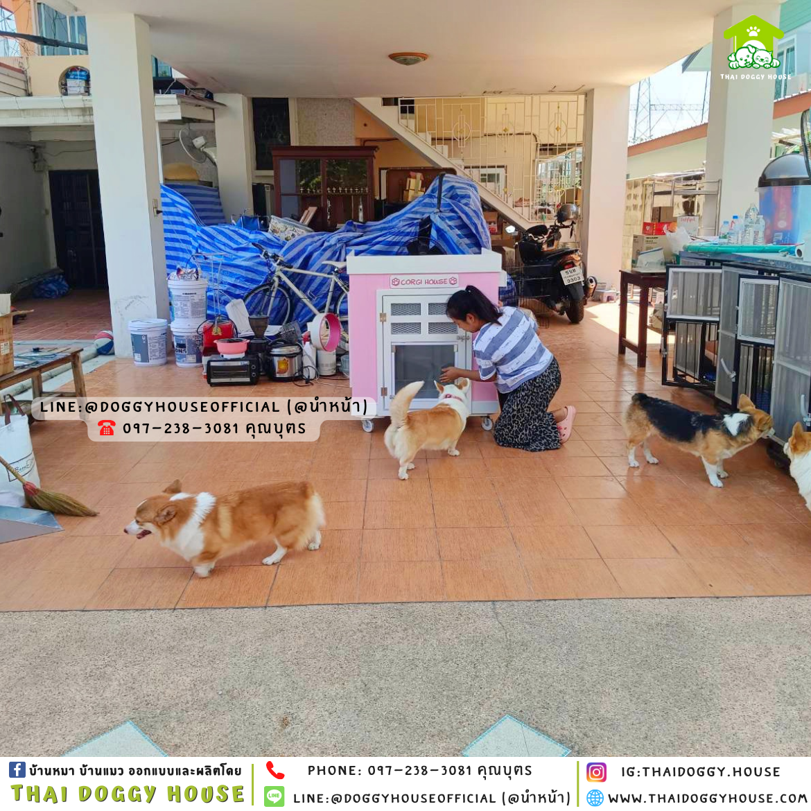 บ้านหมา มีมุ้งลวด + ตะแกรงเหล็ก ทรง 𝐁𝐎𝐗 𝐒𝐓𝐘𝐋𝐄