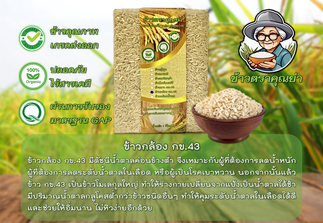 ข้าวกล้อง กข.43 ออร์แกนิค เกรดส่งออก