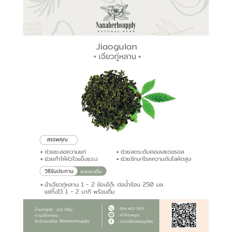 เจียวกู่หลาน 1 กิโลกรัม ชาเจียวกู่หลาน คัดพิเศษ เกรดพรีเมียม (Jiaogulan)