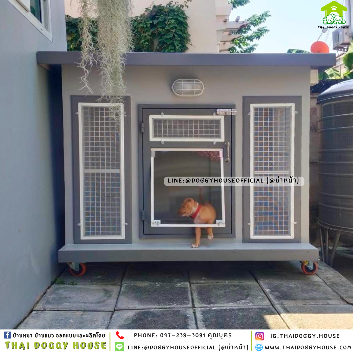 บ้านหมา ติดพัดลม มีมุ้งลวด + ตะแกรงเหล็ก แบบบ้าน 𝐁𝐨𝐱 𝐬𝐭𝐲𝐥𝐞