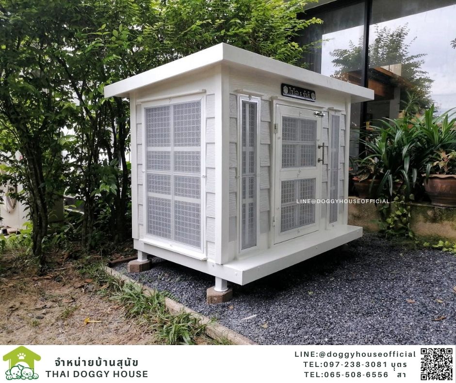 บ้านหมา