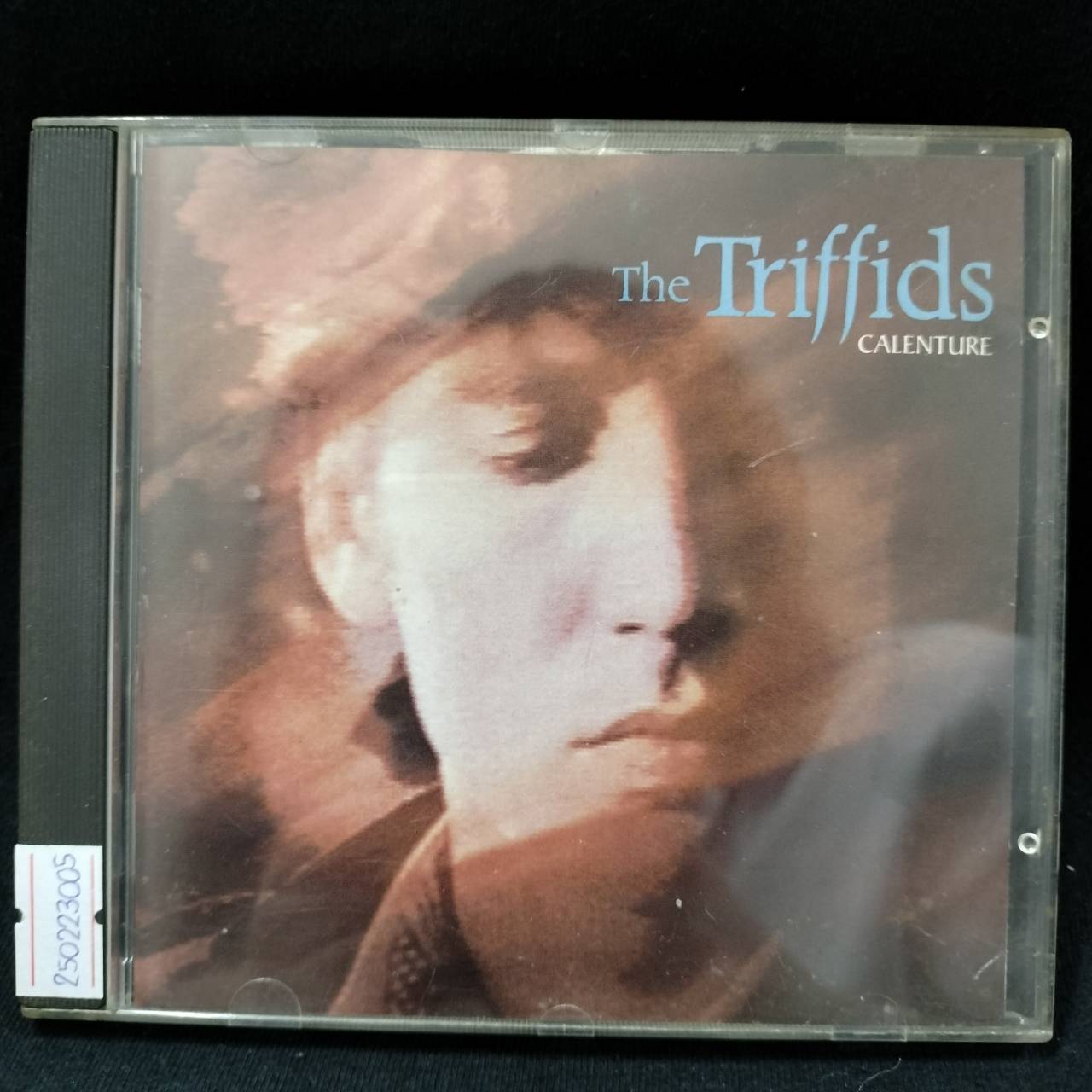 The Triffids – Calenture / ไม่ระบุ / ปกมีจุดเหลือง / แผ่นทะลุขอบ(ไม่โดนเนื้อแผ่น) / แผ่นดี