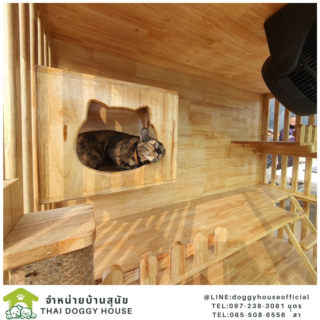 บ้านแมว สไตล์มินิมอล