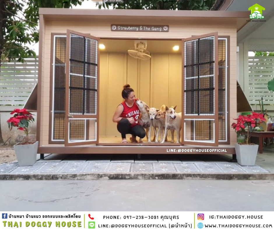 บ้านหมา แบบบ้าน BOX STYLE