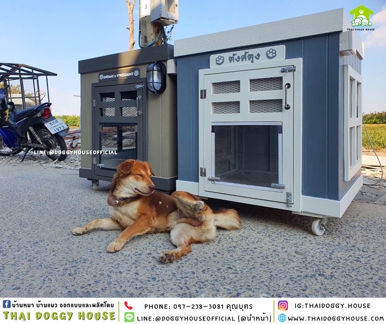 บ้านหมา ทรง BOX