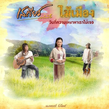 เสถียร ทำมือ + ไม้เมือง – วันที่ความเหงาหาเราไม่เจอ / แผ่นดี