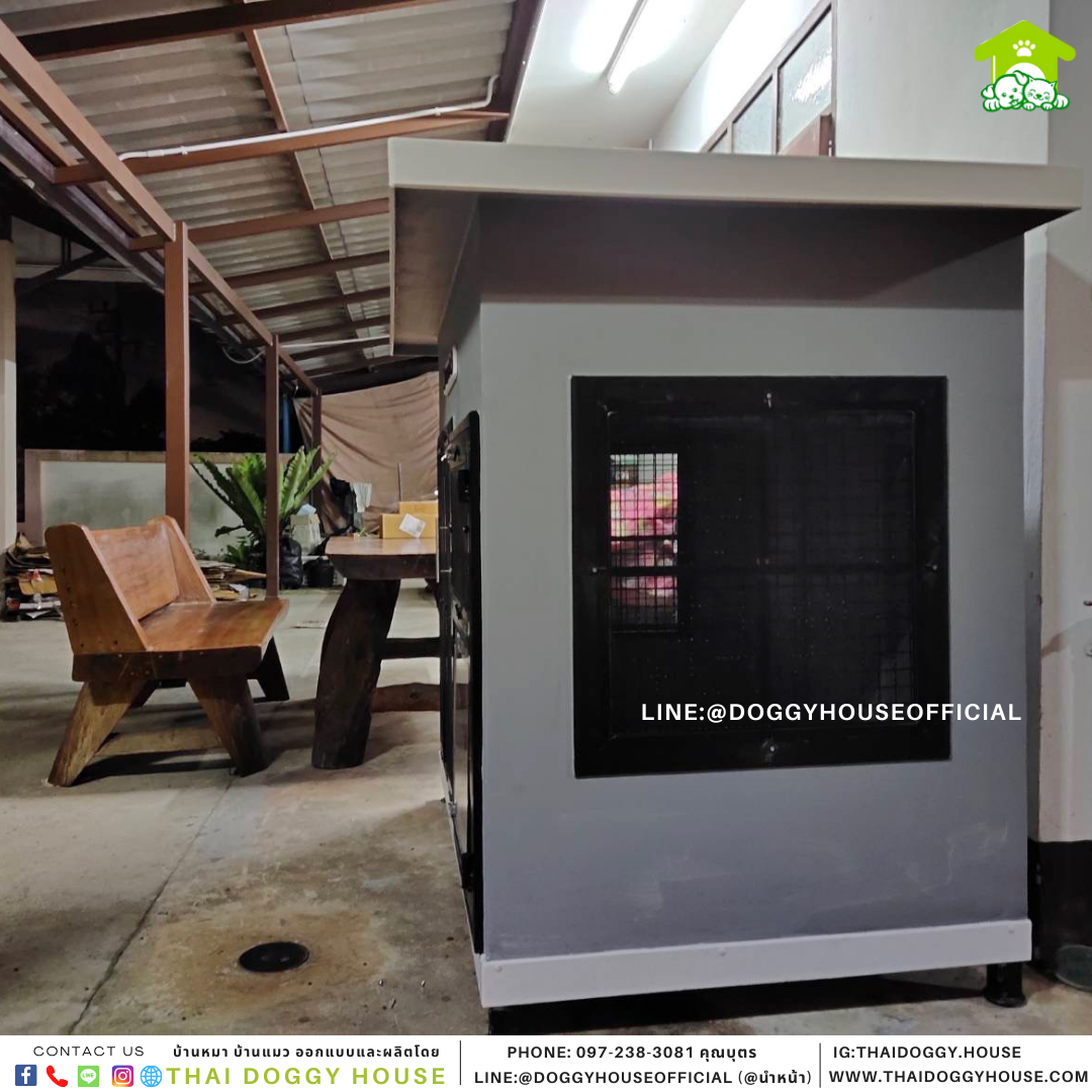 บ้านหมา แบบบ้าน Box style