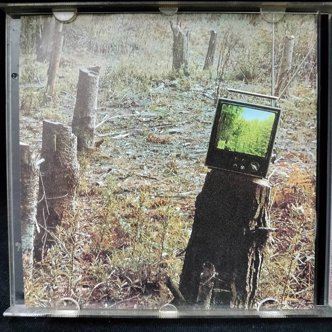 Gene Parsons – Kindling / USA / ทะลุขอบ ไม่โดนเนื้อแผ่น / มีรอยบ้าง