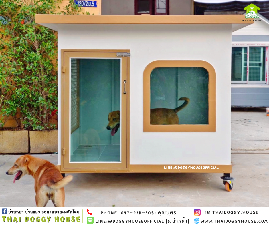 บ้านหมา แบบบ้าน 𝐁𝐎𝐗 𝐒𝐓𝐘𝐋𝐄