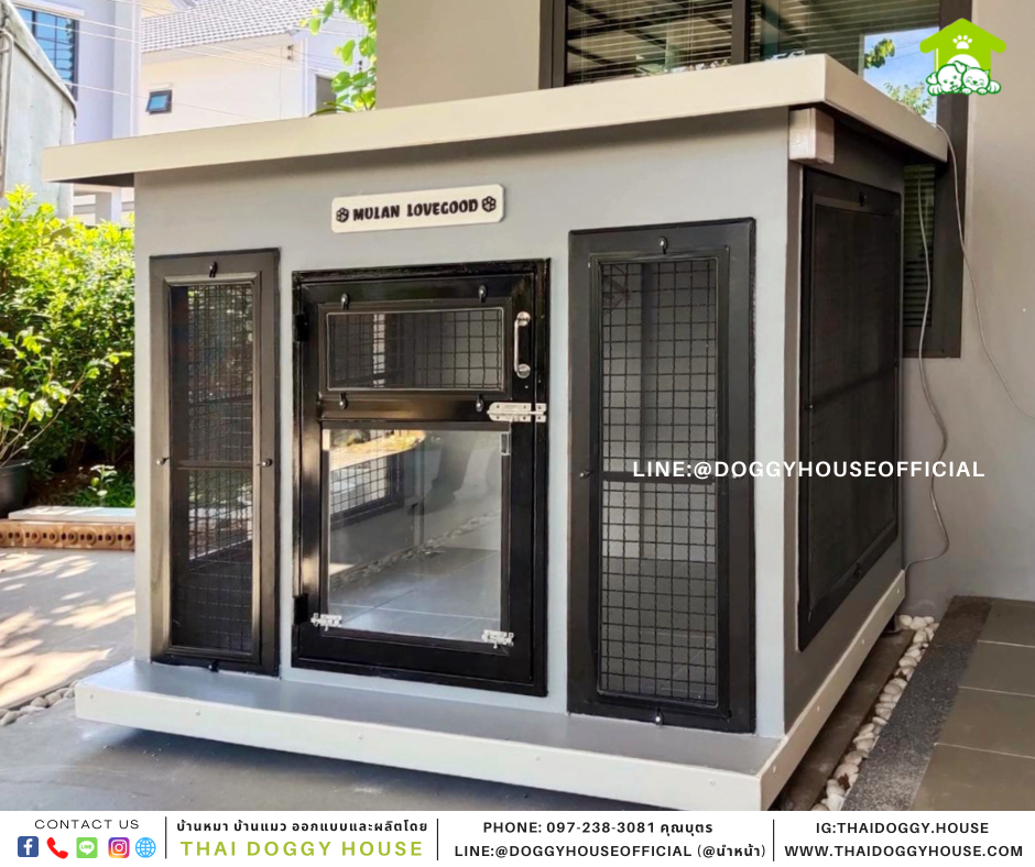 บ้านหมา แบบบ้าน Box style