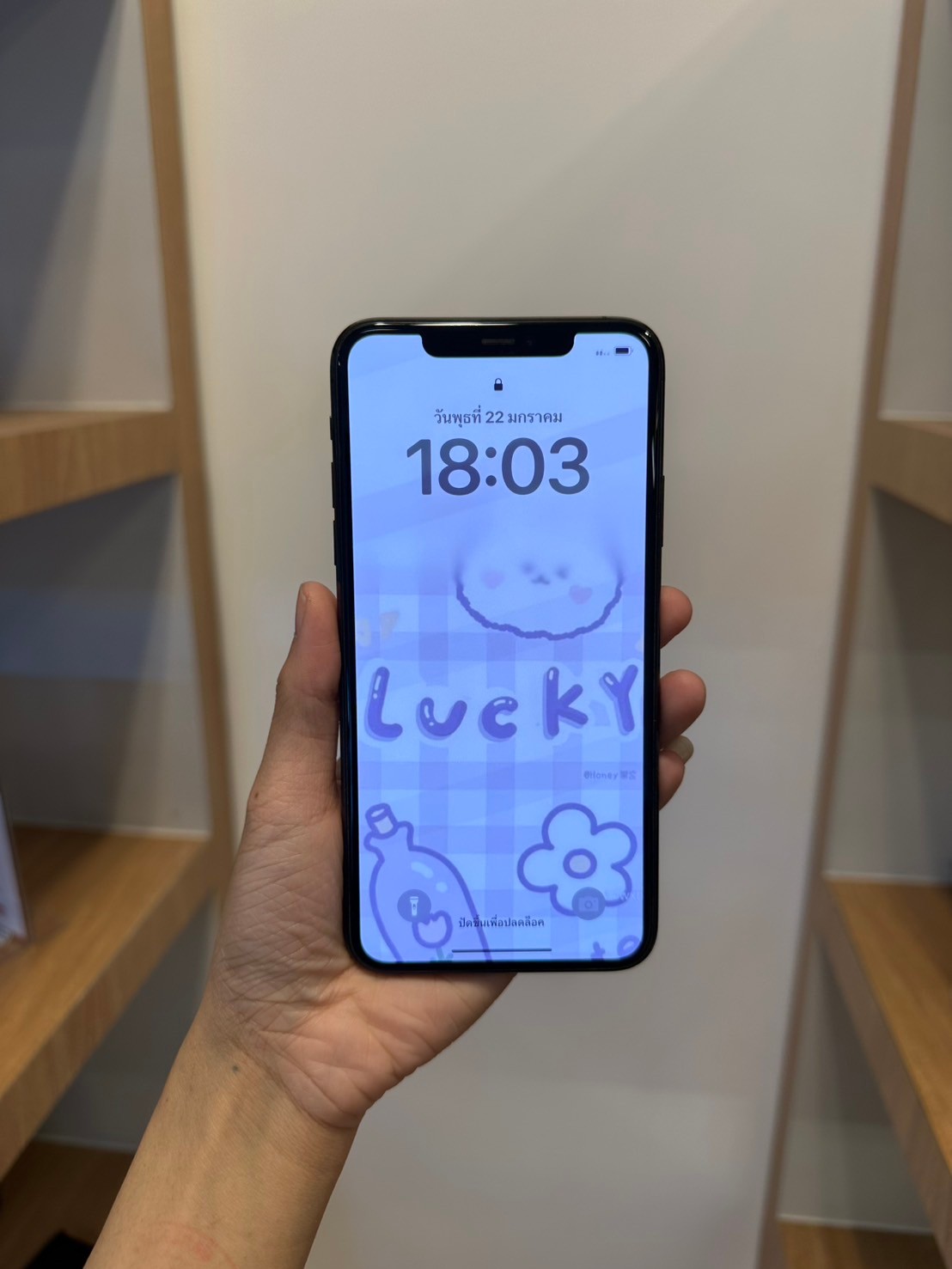 iPhone 11 Pro Max 512GB Space Gray