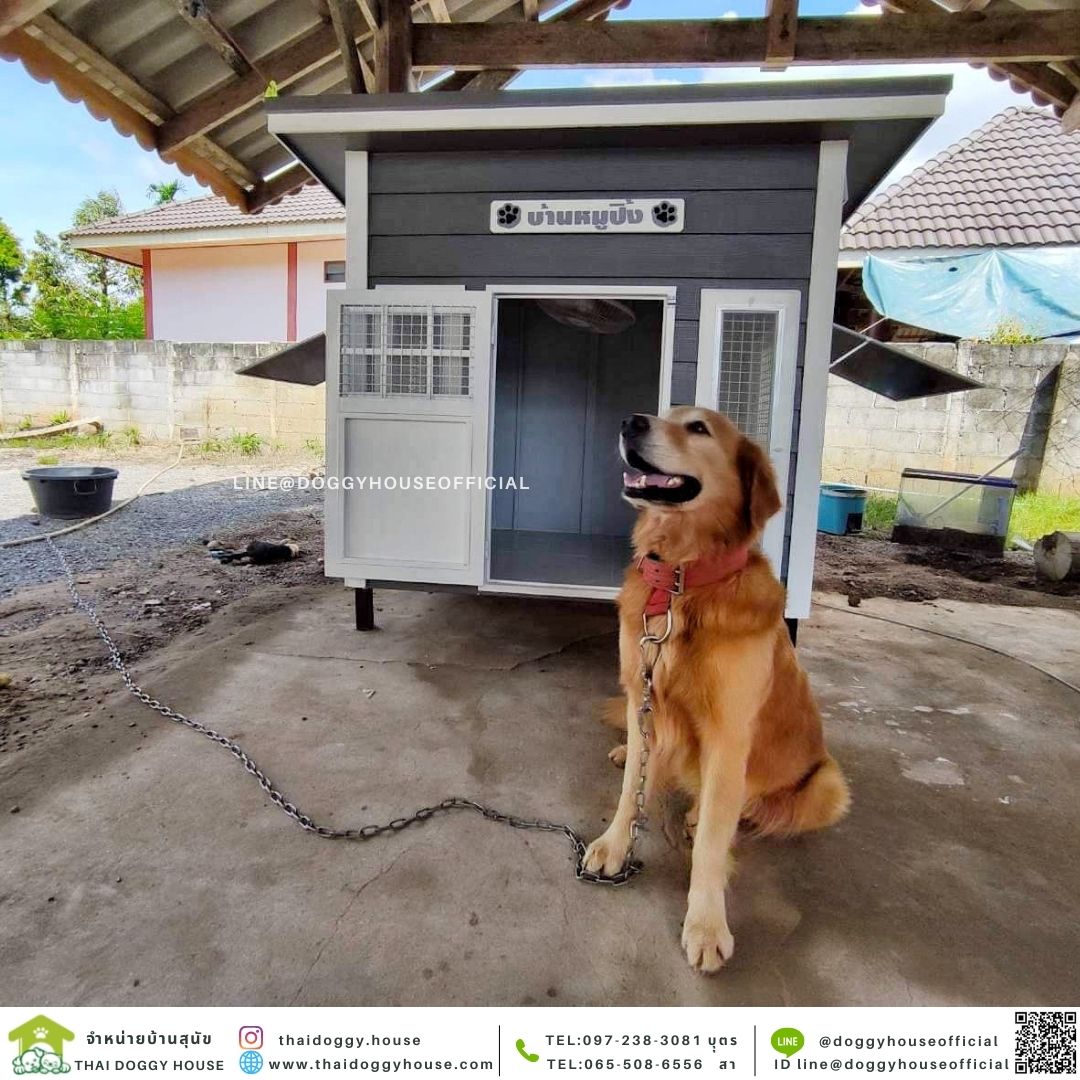 บ้านหมา