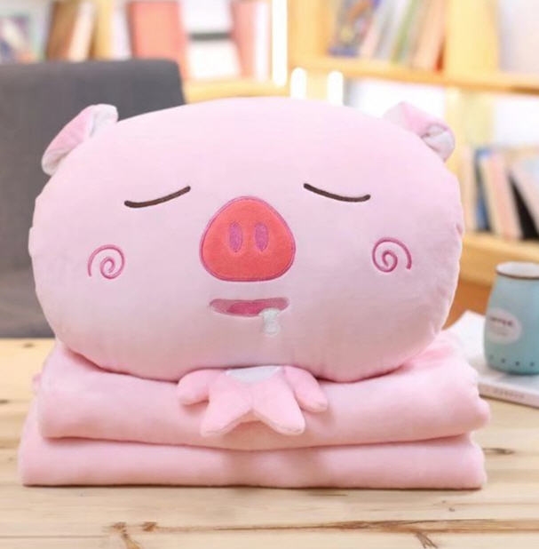 หมอนตุ๊กตา,หมอนตุ๊กตาน่ารัก,หมอนผ้าห่ม,รับผลิตหมอนตามแบบ,หมอนราคาถูก