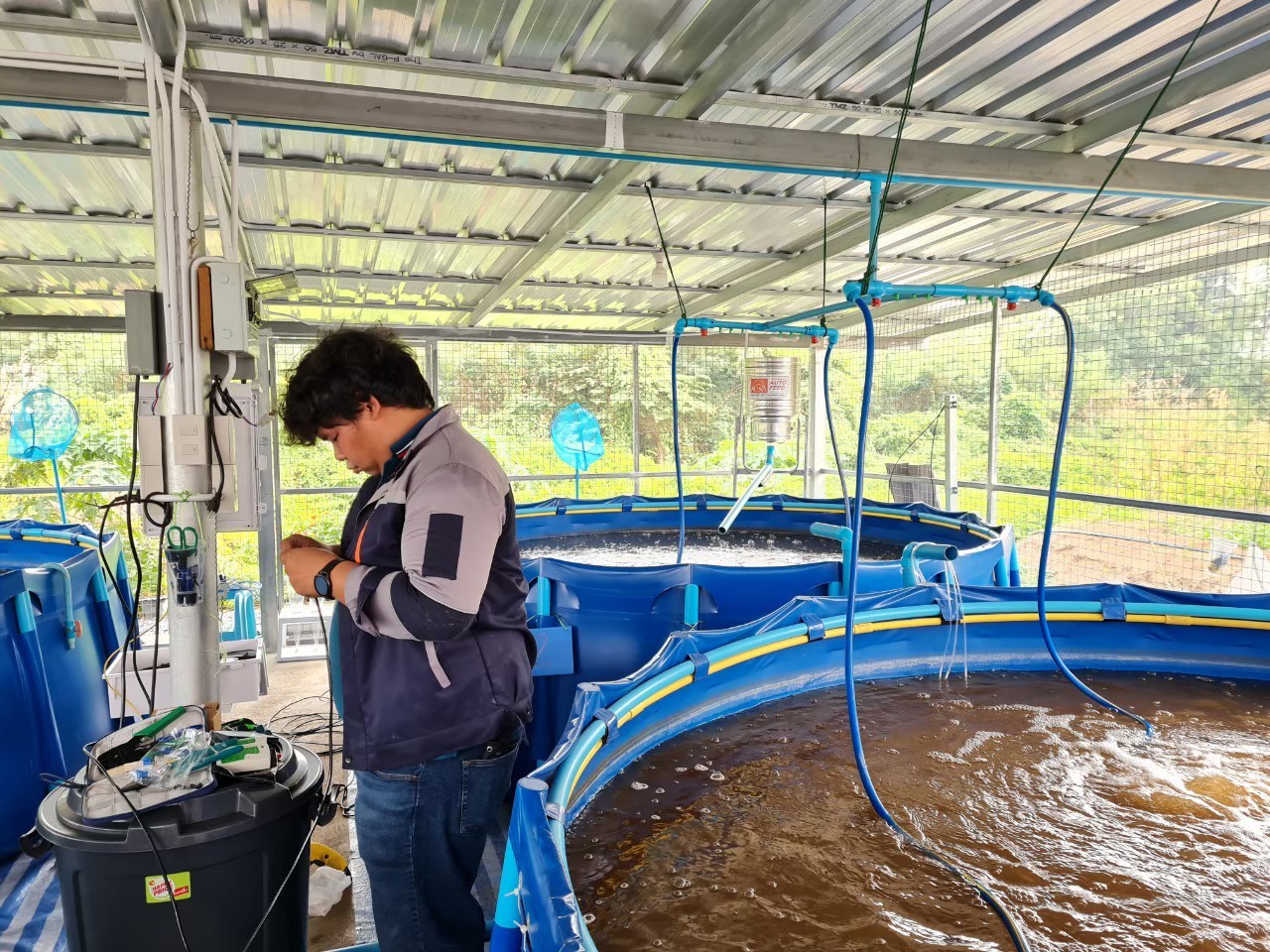 ติดตั้งระบบควบคุมปลาดุก x มหาวิทยาลัยเทคโนโลยีราชมงคลสุวรรณภูมิ