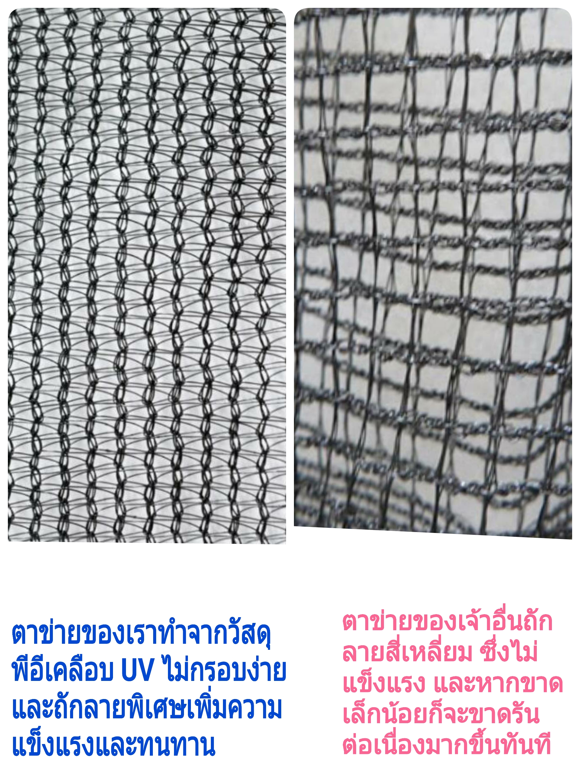 ตาข่ายแทรมโพลีน สปริงบอร์ด