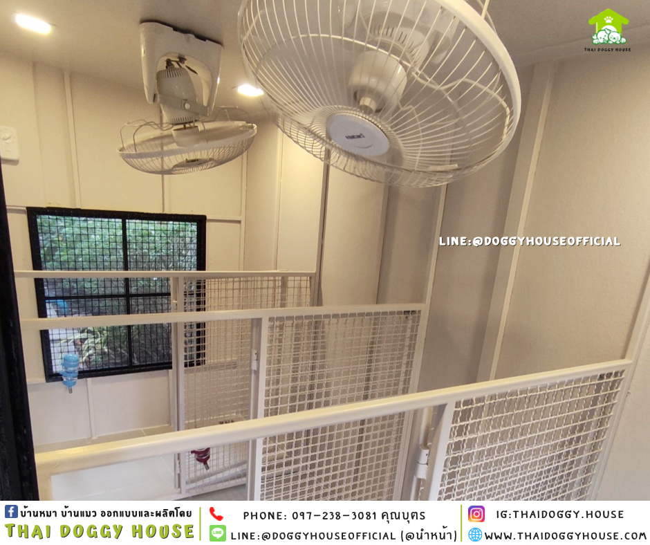 บ้านหมา ทรงบ้านแฝด 4 ห้อง