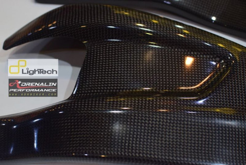Lightech ครอบสวิงอาร์มคาร์บอน Carbon Fibre Swingarm Protection สำหรับ BMW S1000RR ปี 2011+