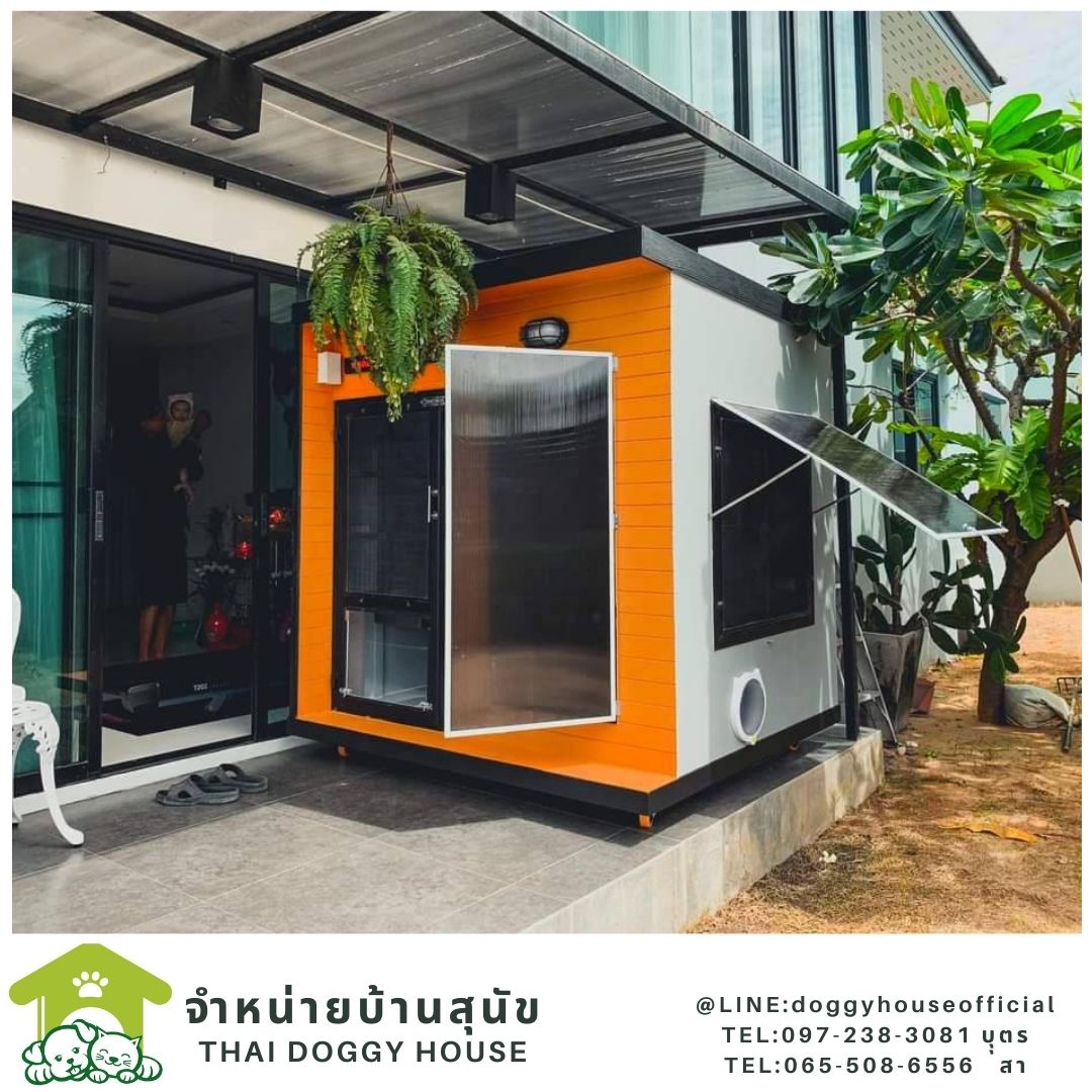 บ้านแมว