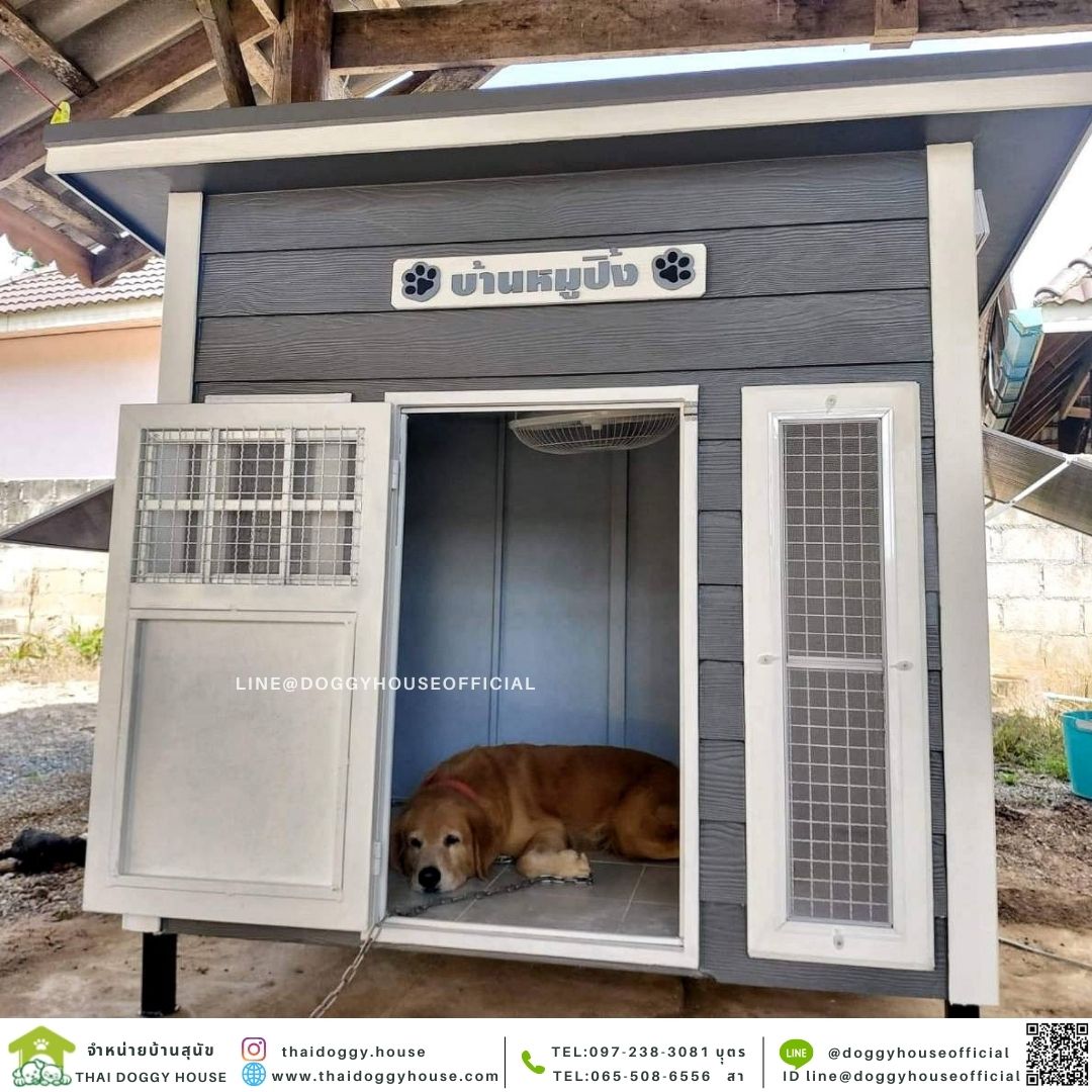 บ้านหมา