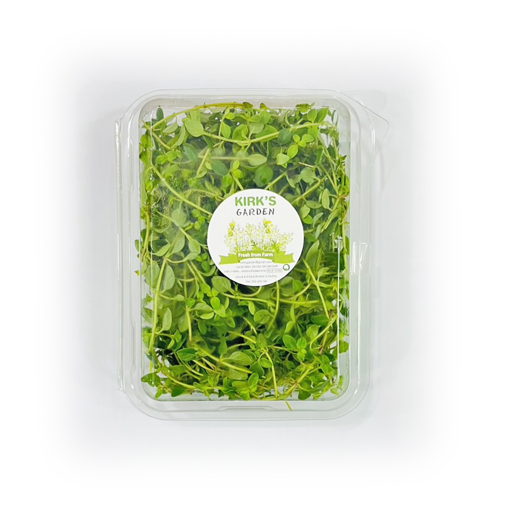 Kirk's Garden Fresh Lemon Thyme เลมอนไทม์สด 20 g. (08-8197)