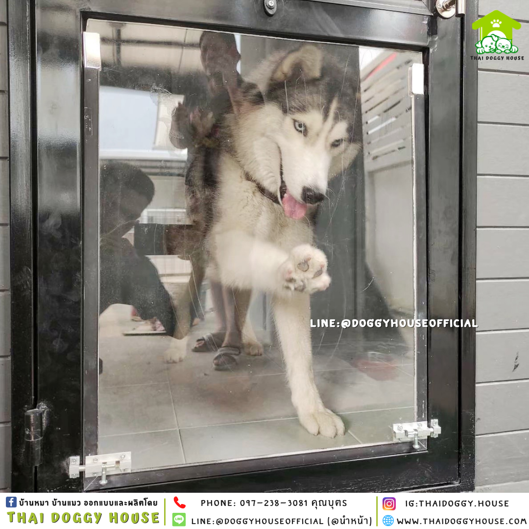 บ้านหมา รุ่นยอดฮิต แบบบ้าน 𝐁𝐎𝐗 𝐒𝐓𝐘𝐋𝐄