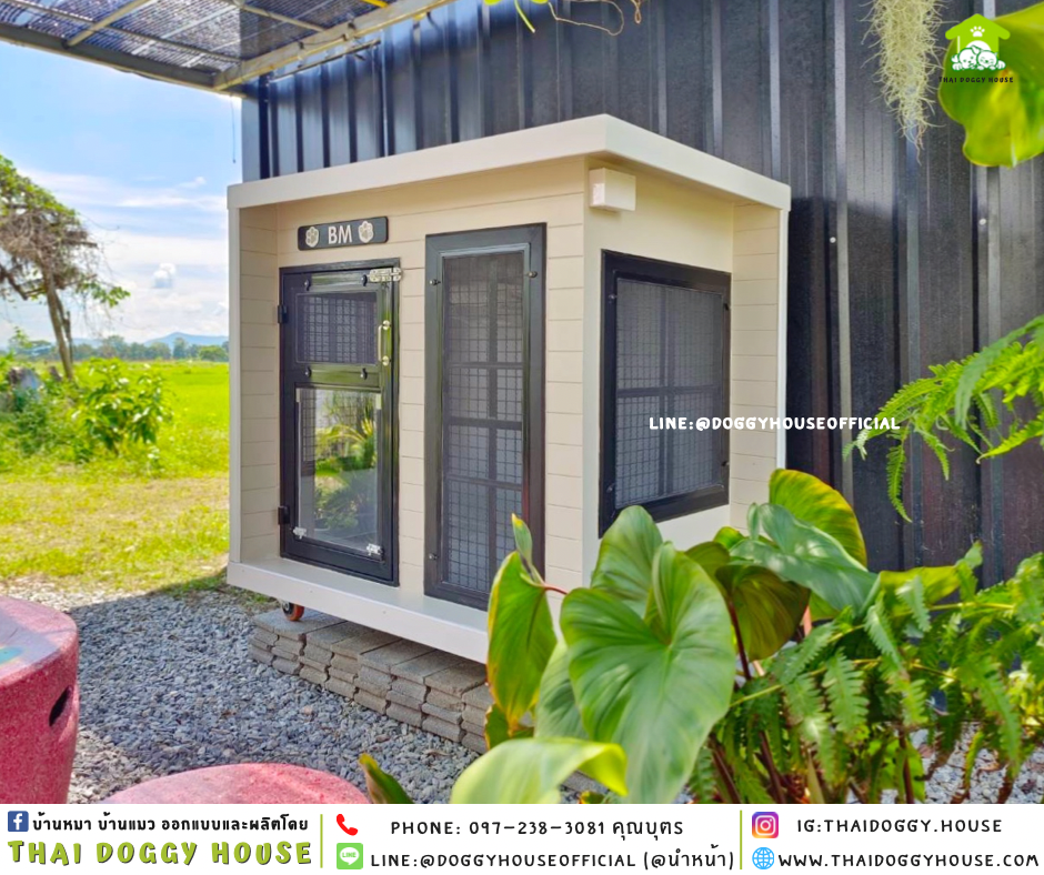 บ้านหมา แบบบ้าน 𝑩𝑶𝑿 𝑺𝑻𝒀𝑳𝑬