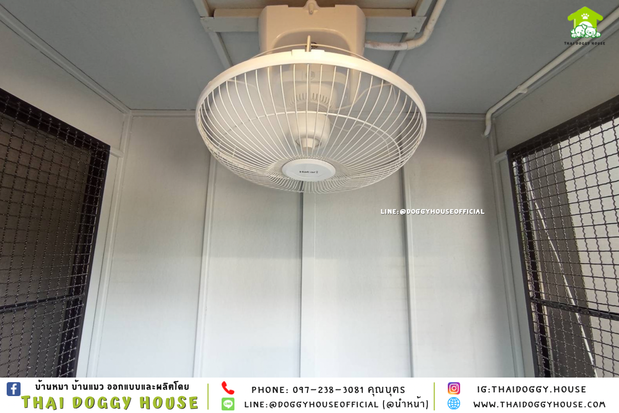 บ้านหมา แบบบ้าน 𝑩𝑶𝑿 𝑺𝑻𝒀𝑳𝑬