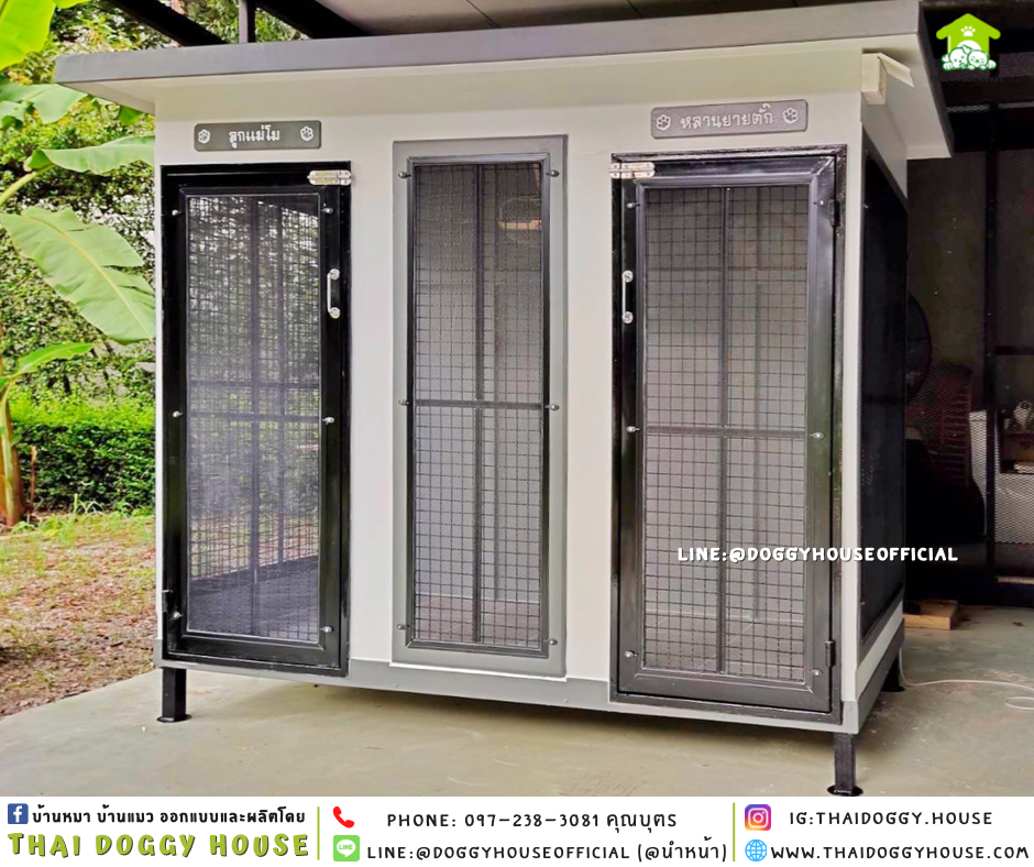 บ้านหมา แบ่ง 𝟐 ห้อง แบบบ้าน 𝐁𝐎𝐗 𝐒𝐓𝐘𝐋𝐄