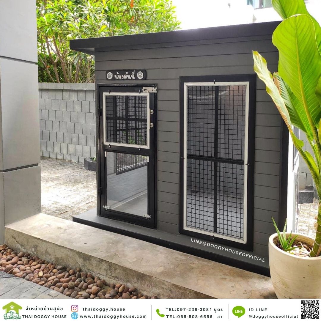 บ้านหมา แบบบ้าน Box style