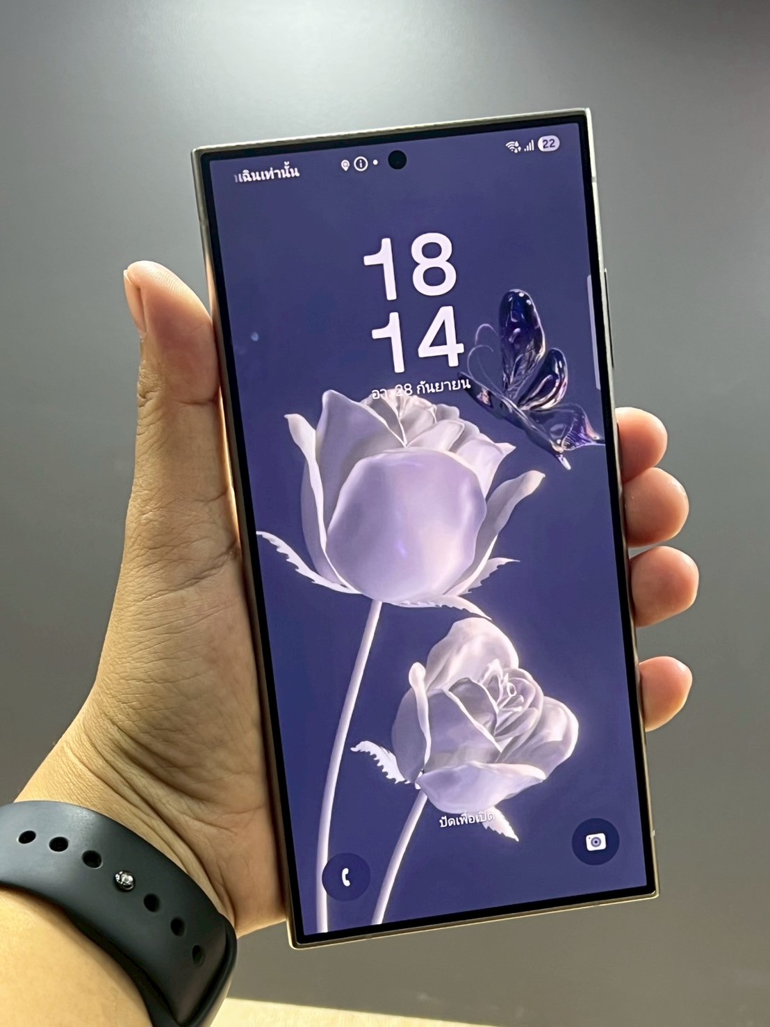 Samsung Galaxy S24 Ultra 12/256GB Titanium Gray