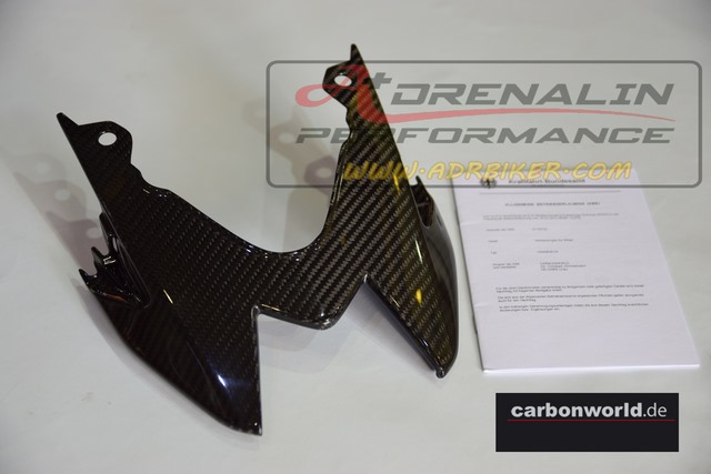 Carbon World - ครอบไฟท้าย (seat tail) สำหรับ S1000R 13+