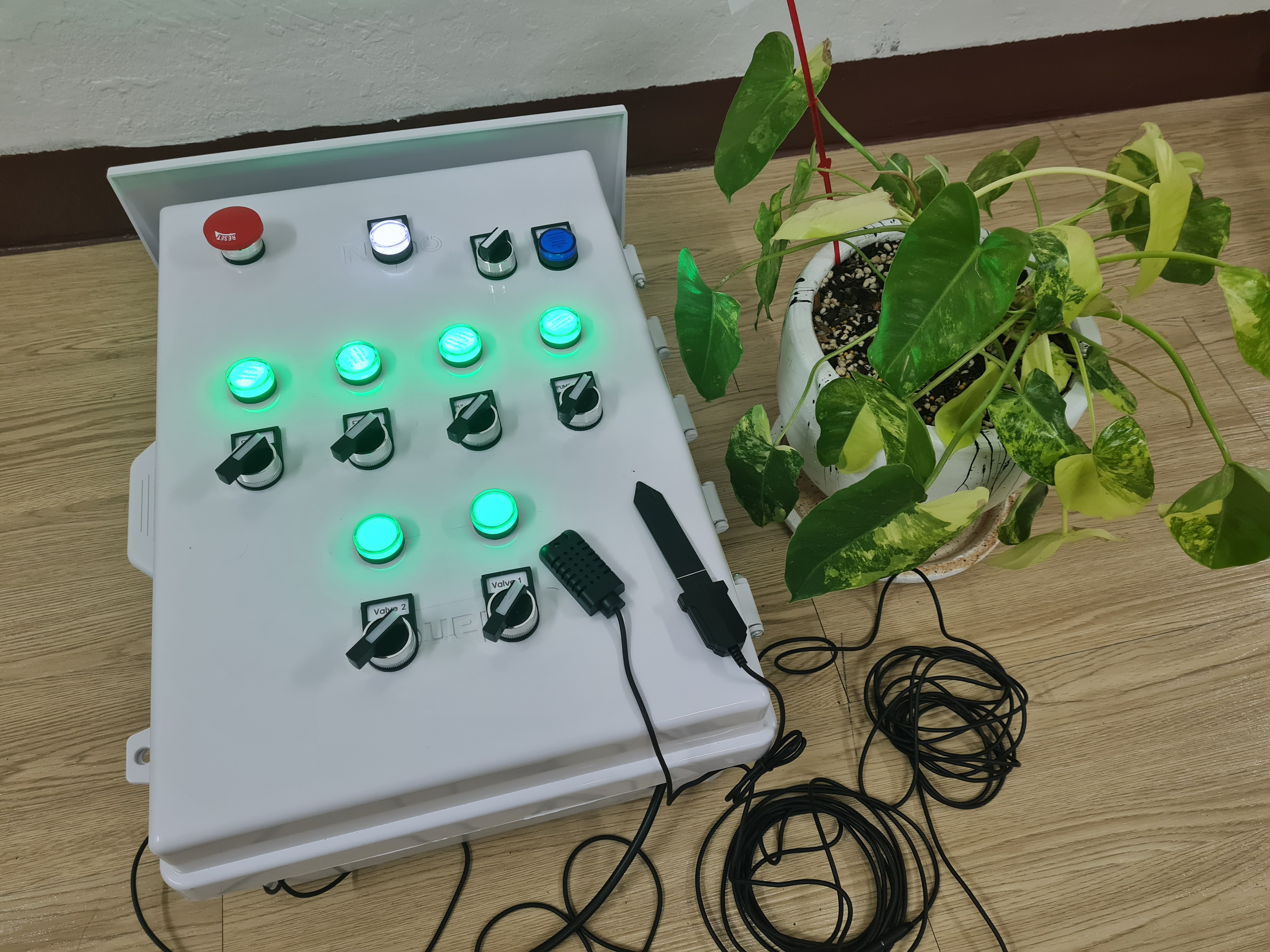 ระบบปลูกไม้ด่าง ไม้มูลค่าสูง อัตโนมัติ ควบคุมโดยใช้ IOT มาควบคุมดูแล ตามความต้องการของนักลงทุน