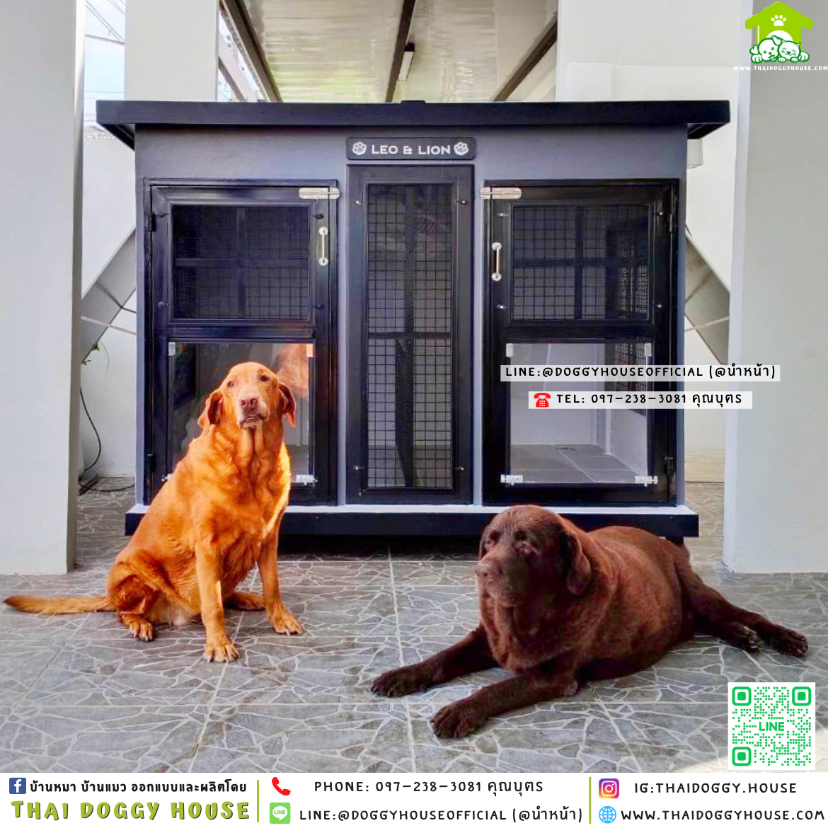 🏡บ้านหมา แบ่ง 𝟐 ห้อง แบบบ้าน 𝐁𝐨𝐱 𝐒𝐭𝐲𝐥𝐞 🦮