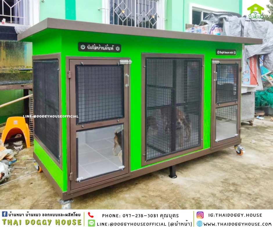 บ้านหมา แบ่ง 𝟐 ห้อง แบบบ้าน 𝐁𝐎𝐗 𝐒𝐓𝐘𝐋𝐄