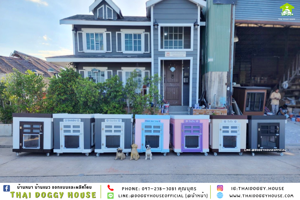 บ้านหมา ทรง 𝐁𝐎𝐗