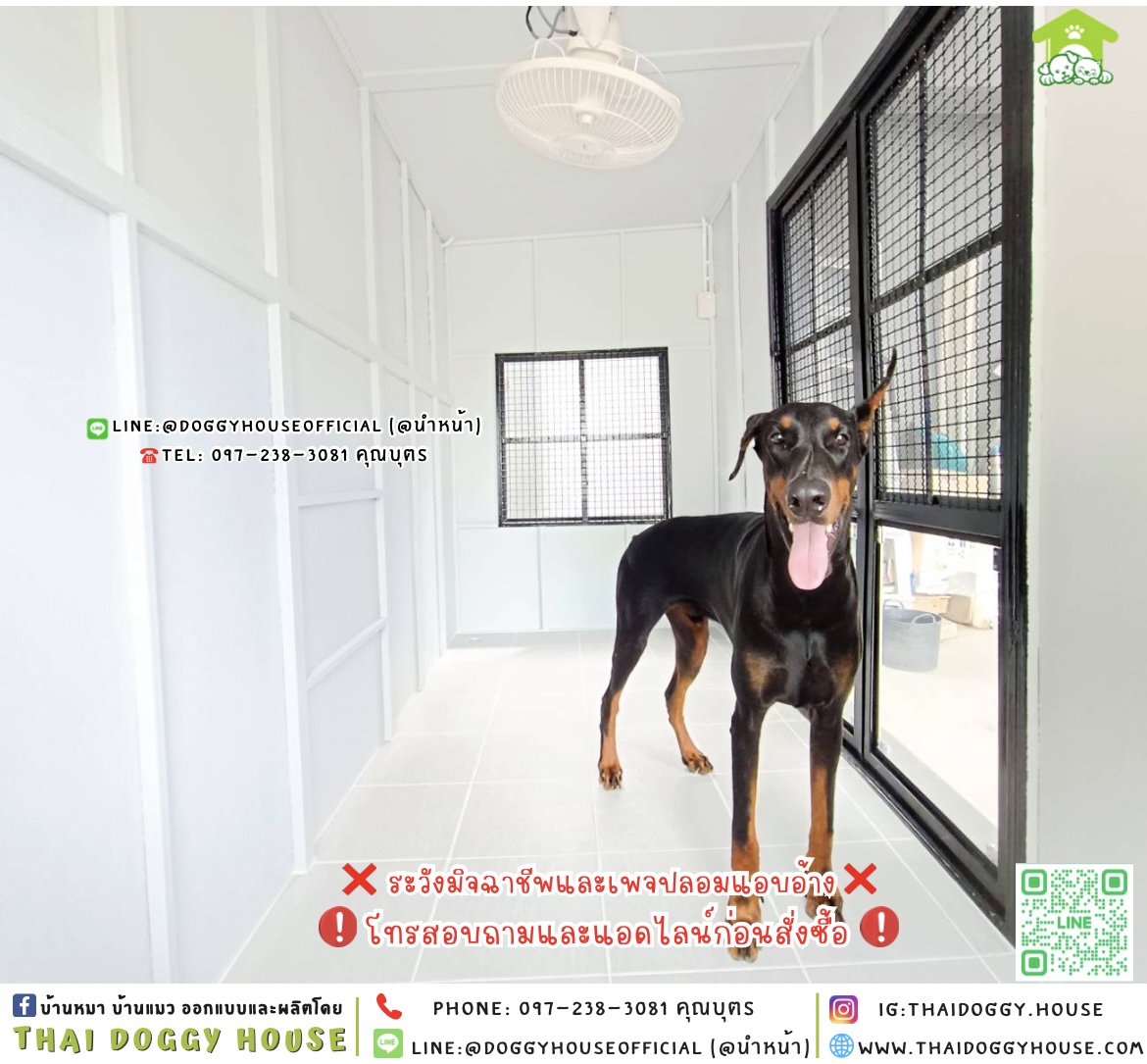 🏡บ้านหมา แบบติดพัดลม แบบบ้าน 𝐁𝐨𝐱 𝐒𝐭𝐲𝐥𝐞 🖤